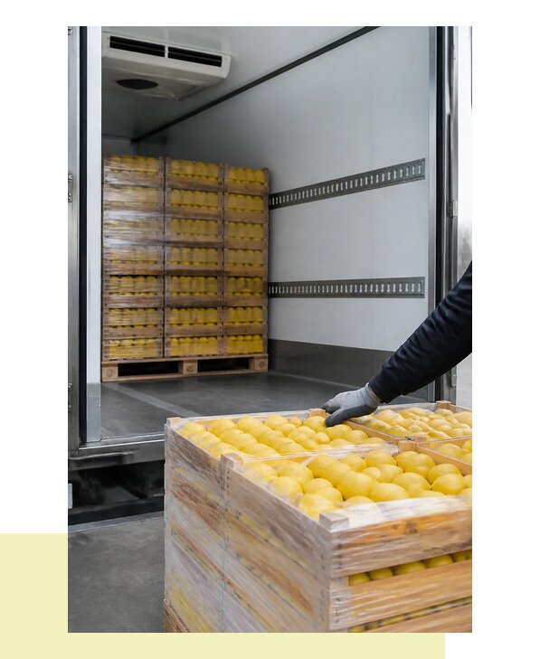 Перевозка лимонов в Орск с соблюдением температурного режима
