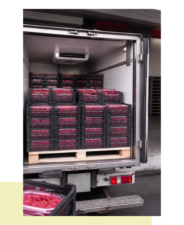 Перевозка малины в Орск с соблюдением температурного режима